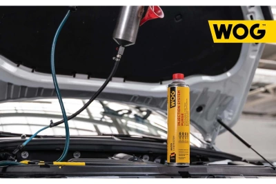 Промывка инжектора WOG бензинового двигателя безразборным методом, 800 мл